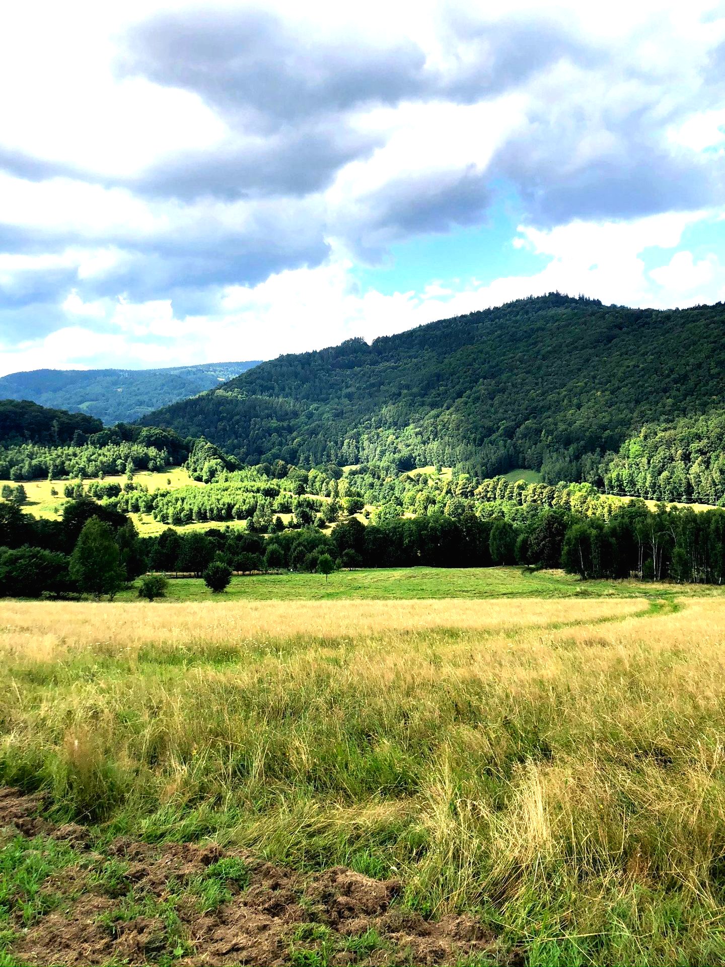 Działki inwestycyjne. Bystrzyca. Zieleniec