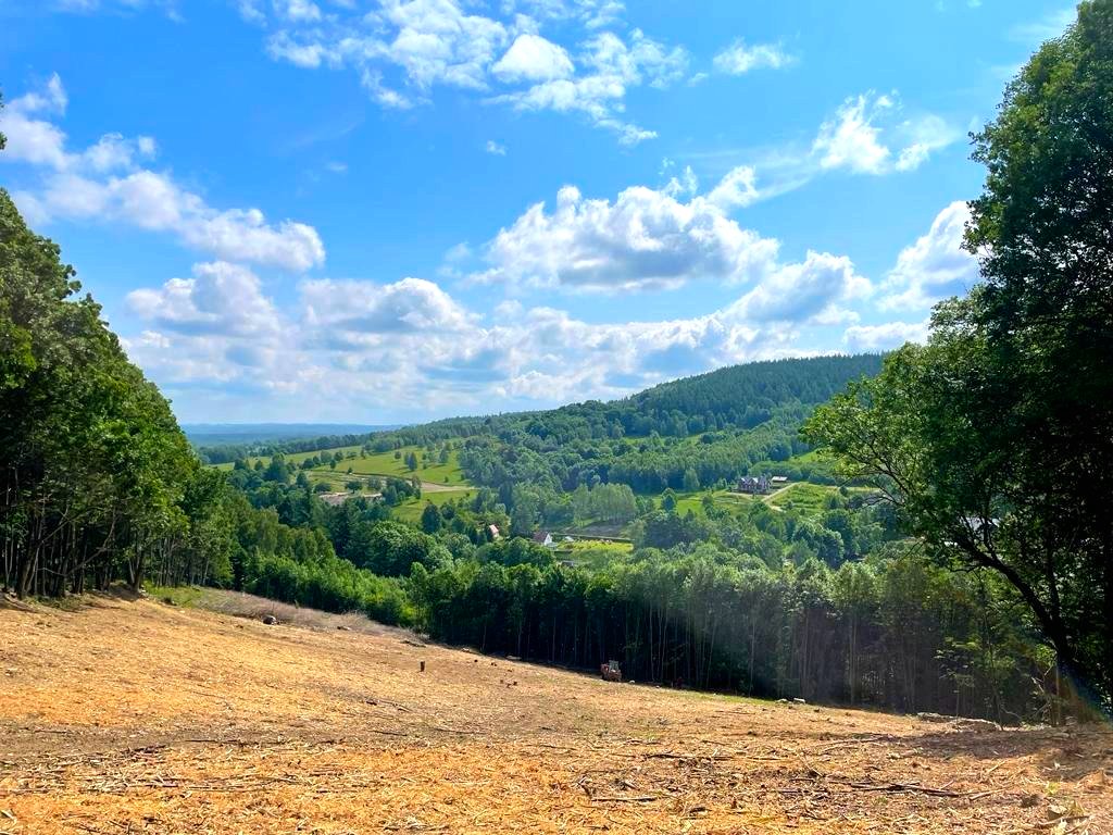 Świeradów Zdrój - Orłowice. Działki pod inwestycje.