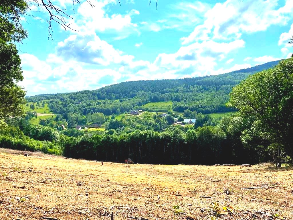 Działka pod inwestycję. Osada Świeradów Zdrój.