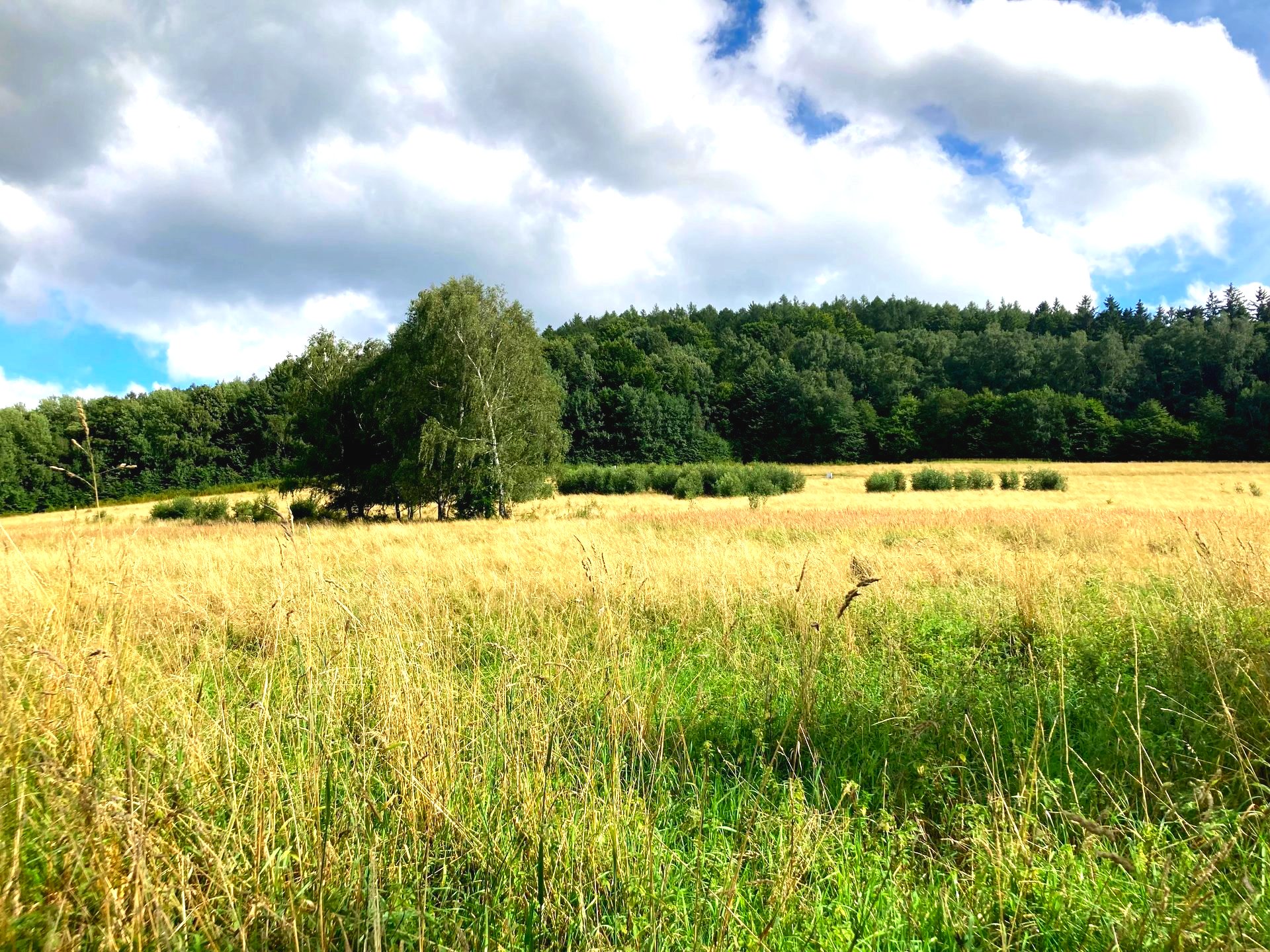 Działki pod inwestycje - Kotlina Kłodzka, Bystrzyca
