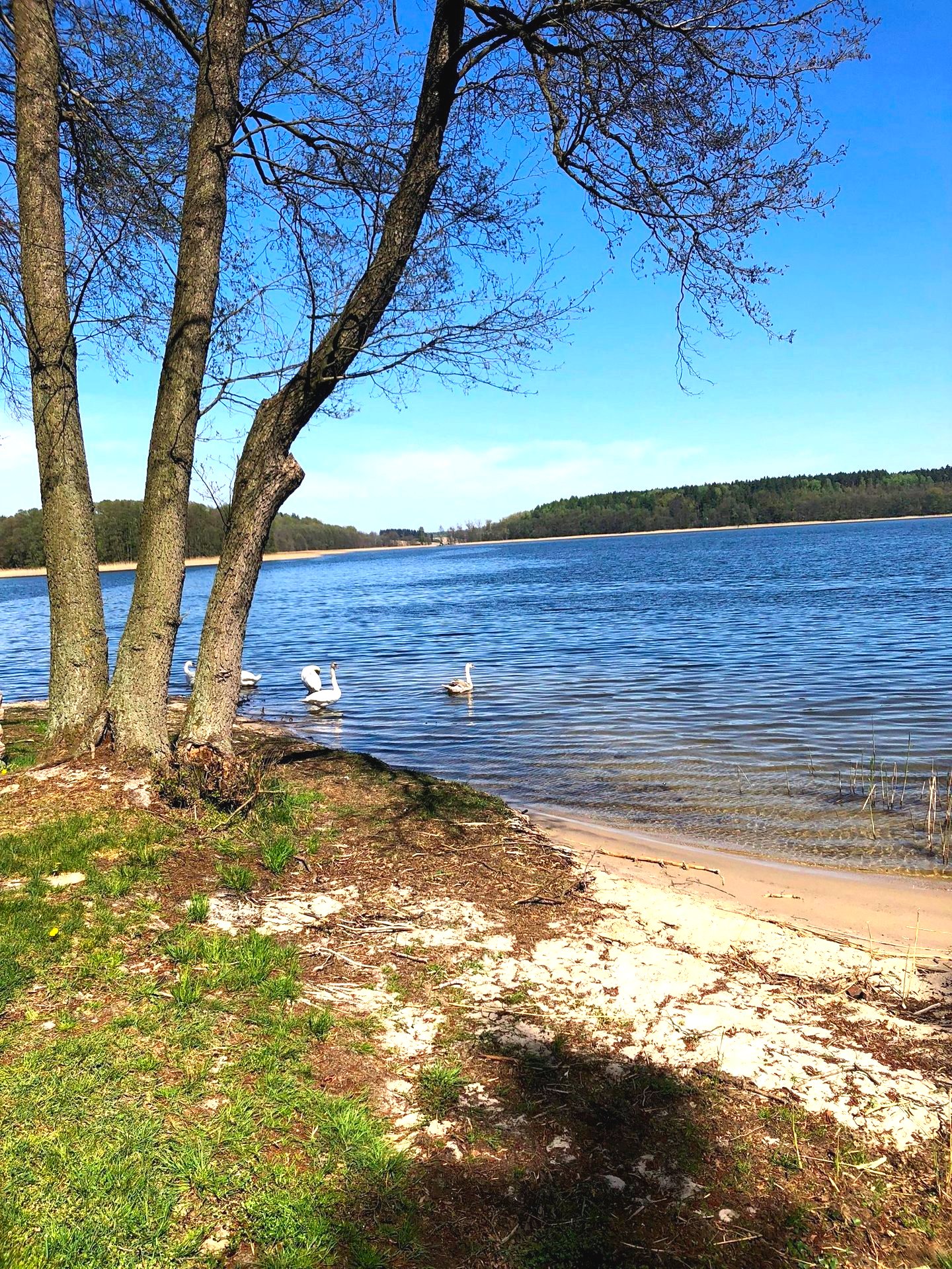 Działki nad jeziorem - Gwieździn, kujawsko-pomorskie