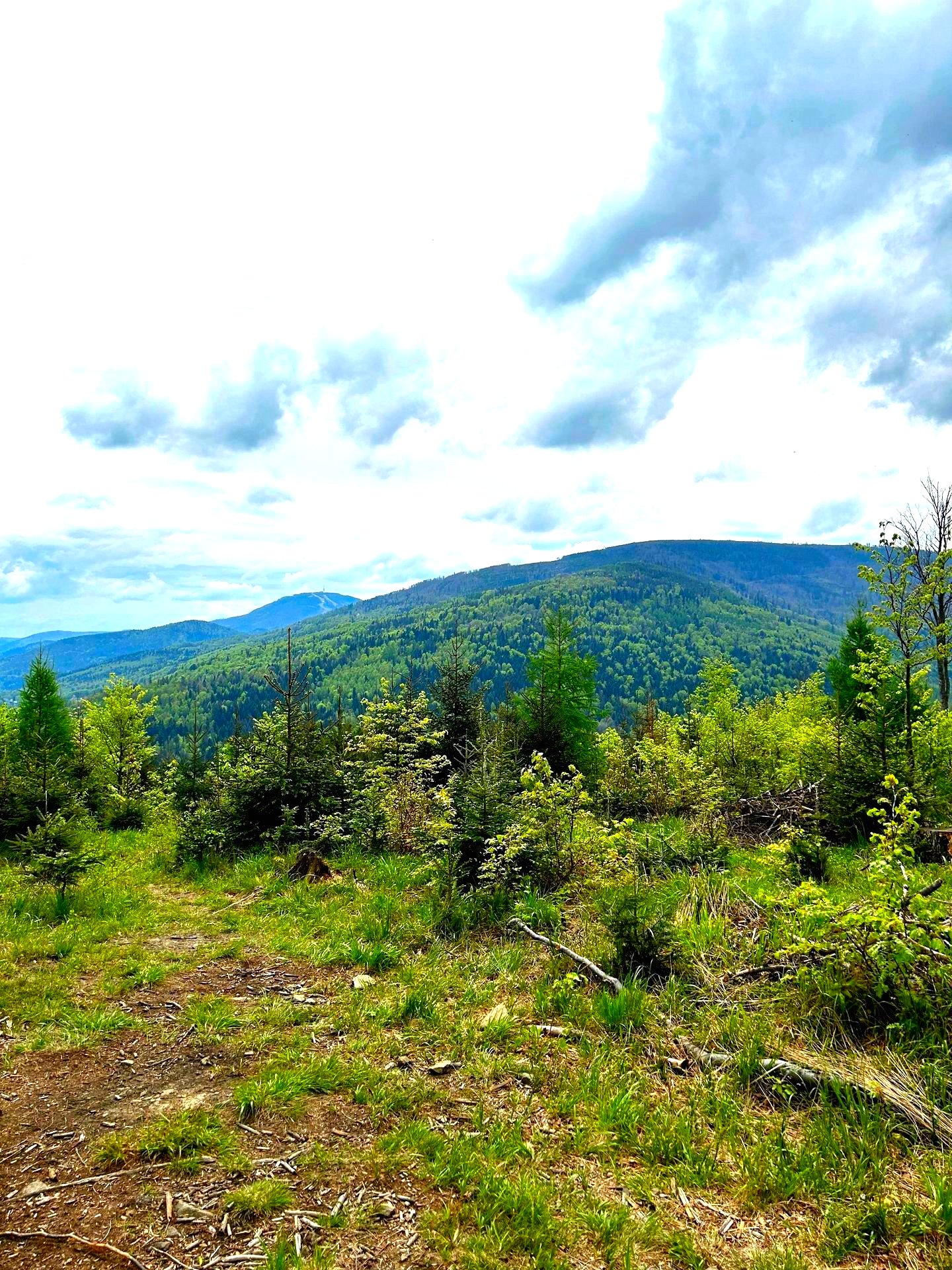 Działki w górach. Zakopane. Tatry.