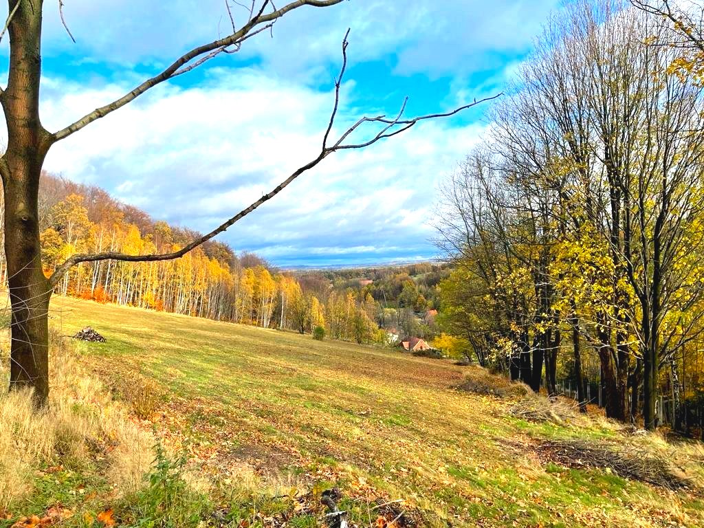 Działki inwestycyjne. Orłowice - Świeradów Zdrój.